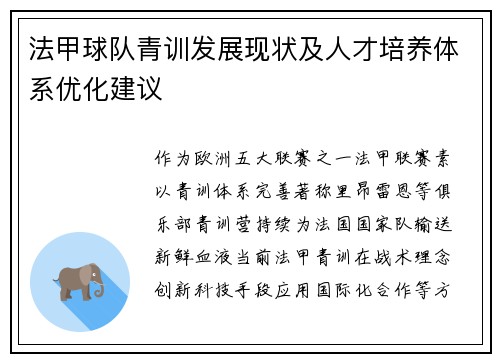 法甲球队青训发展现状及人才培养体系优化建议