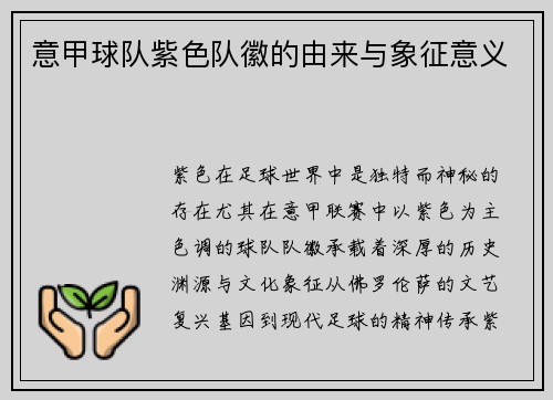 意甲球队紫色队徽的由来与象征意义